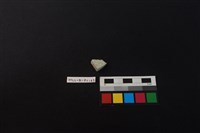 瓷片藏品圖，第2張