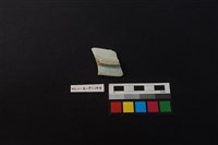 瓷盤藏品圖，第2張