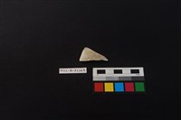 瓷片藏品圖，第1張