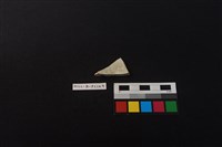 瓷片藏品圖，第2張