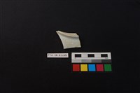 瓷盤藏品圖，第2張