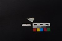 瓷杯藏品圖，第2張