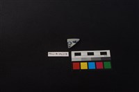 瓷片藏品圖，第1張