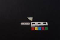 瓷片藏品圖，第2張