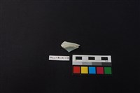 瓷片藏品圖，第3張