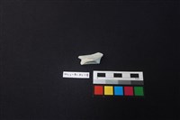 瓷片藏品圖，第4張