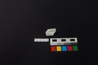 瓷片藏品圖，第2張