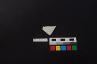 瓷片藏品圖，第1張