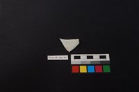 瓷片藏品圖，第2張