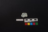 瓷杯藏品圖，第2張