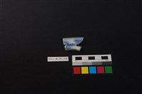 瓷片藏品圖，第2張