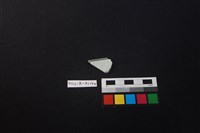 瓷片藏品圖，第2張