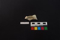 瓷片藏品圖，第3張