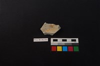 瓷盤藏品圖，第1張