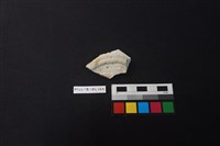 瓷盤藏品圖，第3張