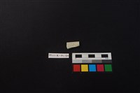 瓷片藏品圖，第2張