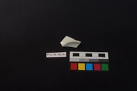 瓷盤藏品圖，第2張