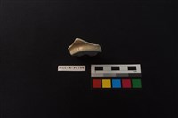 瓷片藏品圖，第2張