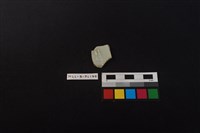 瓷片藏品圖，第2張