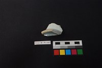 瓷碗藏品圖，第4張