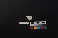 瓷片藏品圖，第2張