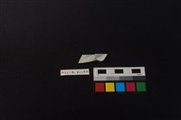 瓷片藏品圖，第1張