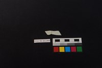 瓷片藏品圖，第2張