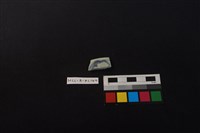 瓷片藏品圖，第1張