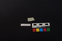 瓷片藏品圖，第2張