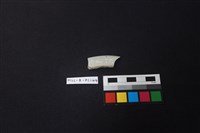 瓷片藏品圖，第2張