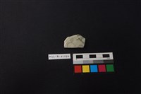 瓷片藏品圖，第1張