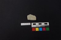 瓷片藏品圖，第2張