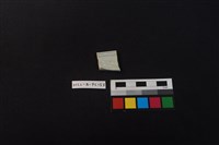 瓷片藏品圖，第2張