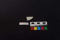 瓷片藏品圖，第2張