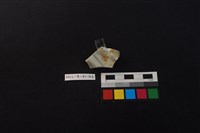 瓷盤藏品圖，第1張