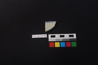 瓷片藏品圖，第2張