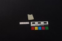 瓷片藏品圖，第2張