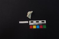 瓷盤藏品圖，第2張