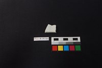 瓷片藏品圖，第2張