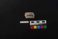 瓷片藏品圖，第4張