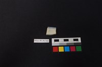 瓷片藏品圖，第2張