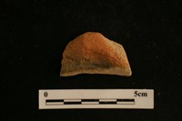 陶片藏品圖，第1張