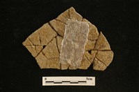 陶片藏品圖，第2張