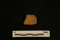 陶片藏品圖，第2張