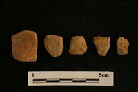 陶片藏品圖，第2張