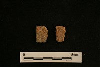 陶片藏品圖，第2張