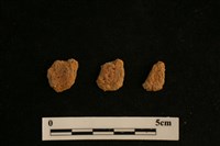 陶片藏品圖，第2張