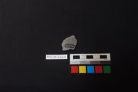 石材藏品圖，第2張