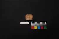 陶缸藏品圖，第4張