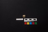 硬陶片藏品圖，第1張